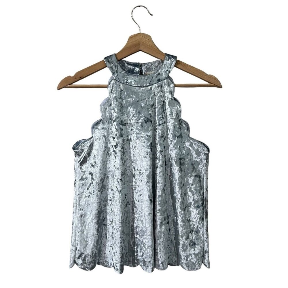Altard State Sleeveless Blouse Size XS Ice Powder Blue Metallic Velvet Scalloped